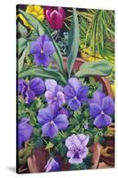 Flowerpots with Pansies, 2007-Christopher Ryland-Stretched Canvas