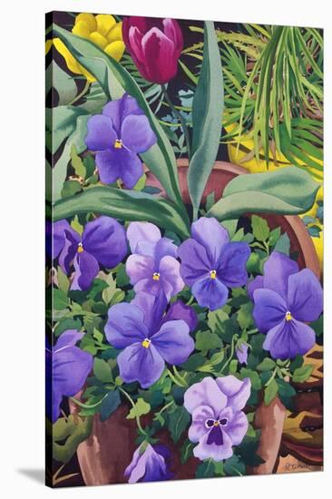 Flowerpots with Pansies, 2007-Christopher Ryland-Stretched Canvas