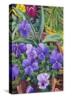 Flowerpots with Pansies, 2007-Christopher Ryland-Stretched Canvas