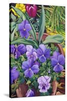 Flowerpots with Pansies, 2007-Christopher Ryland-Stretched Canvas