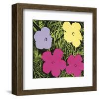 Flowers, 1970 (1 purple, 1 yellow, 2 pink)-Andy Warhol-Framed Art Print