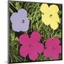 Flowers, 1970 (1 purple, 1 yellow, 2 pink)-Andy Warhol-Mounted Art Print