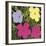 Flowers, 1970 (1 purple, 1 yellow, 2 pink)-Andy Warhol-Framed Art Print