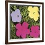 Flowers, 1970 (1 purple, 1 yellow, 2 pink)-Andy Warhol-Framed Art Print