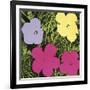 Flowers, 1970 (1 purple, 1 yellow, 2 pink)-Andy Warhol-Framed Art Print