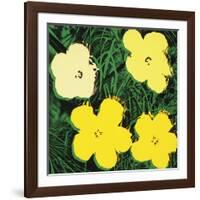 Flowers, 1970 (4 yellow)-Andy Warhol-Framed Art Print