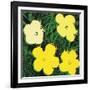 Flowers, 1970 (4 yellow)-Andy Warhol-Framed Art Print