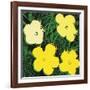 Flowers, 1970 (4 yellow)-Andy Warhol-Framed Art Print