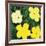 Flowers, 1970 (4 yellow)-Andy Warhol-Framed Art Print