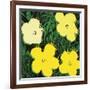 Flowers, 1970 (4 yellow)-Andy Warhol-Framed Art Print