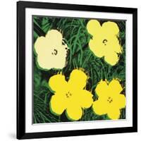 Flowers, 1970 (4 yellow)-Andy Warhol-Framed Art Print