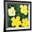 Flowers, 1970 (4 yellow)-Andy Warhol-Framed Art Print