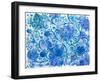 Flowers 5-Oxana Zaika-Framed Giclee Print