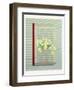 Flowers against the window shutter-Jasper Galloway-Framed Giclee Print