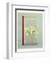 Flowers against the window shutter-Jasper Galloway-Framed Giclee Print