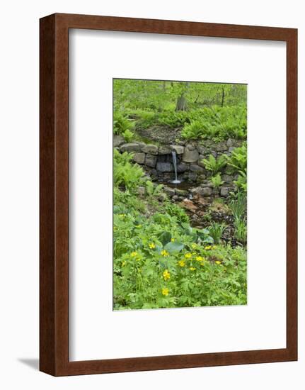 Flowers along Bell's Run Creek, Chanticleer Garden, Wayne, Pennsylvania-Darrell Gulin-Framed Photographic Print