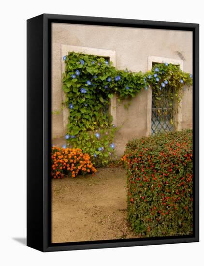 Flowers Along Stucco Building, Burgundy, France-Lisa S. Engelbrecht-Framed Stretched Canvas