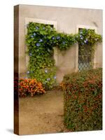 Flowers Along Stucco Building, Burgundy, France-Lisa S. Engelbrecht-Stretched Canvas