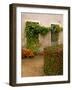 Flowers Along Stucco Building, Burgundy, France-Lisa S. Engelbrecht-Framed Photographic Print