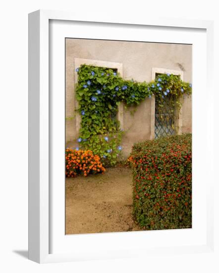 Flowers Along Stucco Building, Burgundy, France-Lisa S. Engelbrecht-Framed Photographic Print