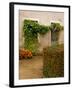 Flowers Along Stucco Building, Burgundy, France-Lisa S. Engelbrecht-Framed Photographic Print