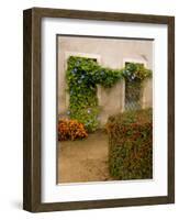 Flowers Along Stucco Building, Burgundy, France-Lisa S. Engelbrecht-Framed Photographic Print