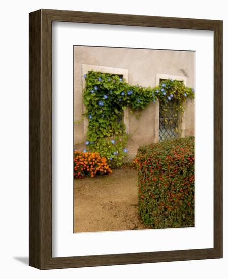 Flowers Along Stucco Building, Burgundy, France-Lisa S. Engelbrecht-Framed Photographic Print