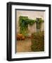 Flowers Along Stucco Building, Burgundy, France-Lisa S. Engelbrecht-Framed Photographic Print