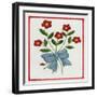 Flowers and a Bow-Beverly Johnston-Framed Giclee Print