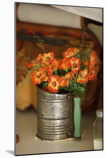 Flowers and Antiquities II-Philip Clayton-thompson-Mounted Photographic Print