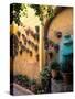 Flowers and Architecture in San Miguel de Allende, Mexico-Bill Bachmann-Stretched Canvas