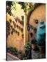 Flowers and Architecture in San Miguel de Allende, Mexico-Bill Bachmann-Stretched Canvas