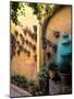 Flowers and Architecture in San Miguel de Allende, Mexico-Bill Bachmann-Mounted Photographic Print