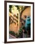 Flowers and Architecture in San Miguel de Allende, Mexico-Bill Bachmann-Framed Photographic Print