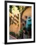 Flowers and Architecture in San Miguel de Allende, Mexico-Bill Bachmann-Framed Photographic Print