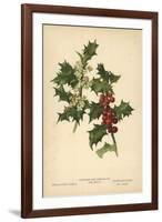 Flowers and Berries of the Holly-William Henry James Boot-Framed Giclee Print