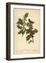 Flowers and Berries of the Holly-William Henry James Boot-Framed Premium Giclee Print