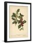 Flowers and Berries of the Holly-William Henry James Boot-Framed Premium Giclee Print