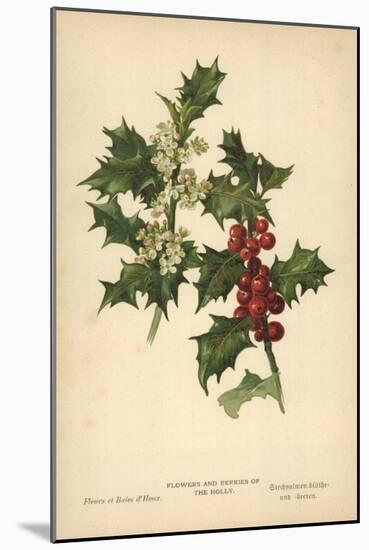 Flowers and Berries of the Holly-William Henry James Boot-Mounted Giclee Print