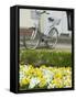 Flowers and Bicycle, Warnemunde, Germany-Russell Young-Framed Stretched Canvas