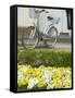 Flowers and Bicycle, Warnemunde, Germany-Russell Young-Framed Stretched Canvas