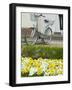 Flowers and Bicycle, Warnemunde, Germany-Russell Young-Framed Photographic Print