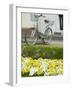 Flowers and Bicycle, Warnemunde, Germany-Russell Young-Framed Photographic Print