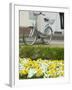 Flowers and Bicycle, Warnemunde, Germany-Russell Young-Framed Photographic Print