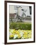 Flowers and Bicycle, Warnemunde, Germany-Russell Young-Framed Photographic Print