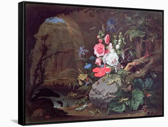 Flowers and Birds in a Cave-Abraham Mignon-Framed Stretched Canvas