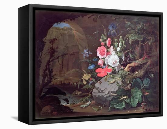 Flowers and Birds in a Cave-Abraham Mignon-Framed Stretched Canvas