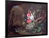 Flowers and Birds in a Cave-Abraham Mignon-Framed Giclee Print