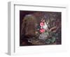 Flowers and Birds in a Cave-Abraham Mignon-Framed Giclee Print