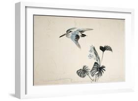 Flowers and Birds of the Four Seasons-Zeshin Shibata-Framed Giclee Print